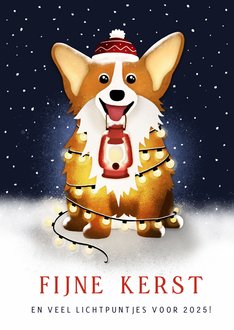 Kerstkaart Corgi Hond Met Kerstlampjes In De Kaartje Go