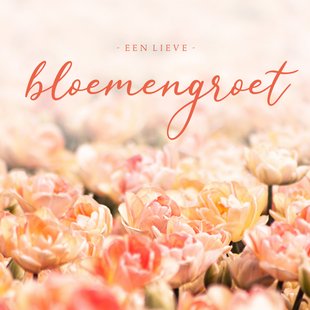 Zomaar Kaart Oranje Tulpen Lieve Bloemengroet Kaartje Go