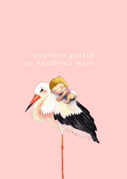 Felicitatiekaart Zwangerschap Van Ooievaar Met Kaartje Go