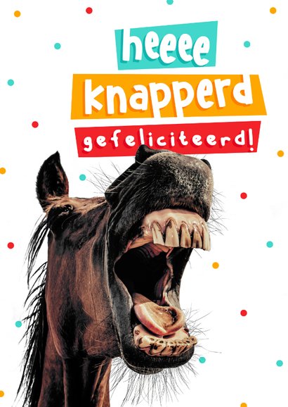 Grappige Verjaardagskaart Paard Gefeliciteerd Kaartje2go