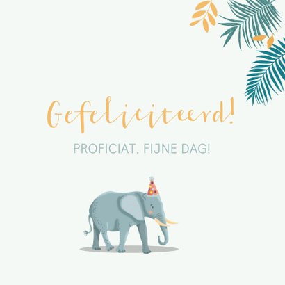 Verjaardagskaart Olifant Giraf Zebra Feestmuts Kaartje Go