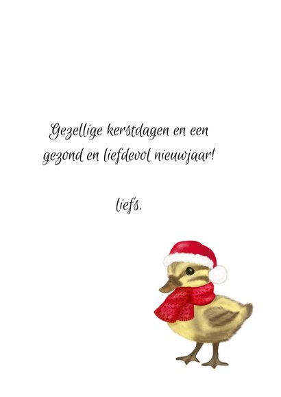 Vintage Kerstkaart Met Eendje Met Kerstmuts En Kaartje2go