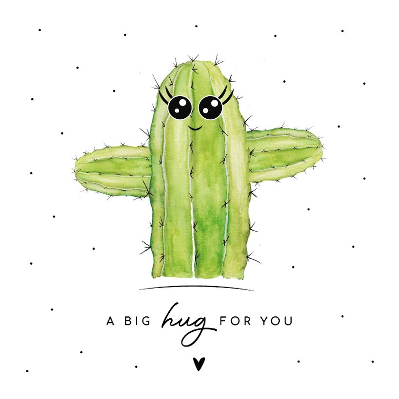 Beterschapskaart Met Cactus A Big Hug For You Kaartje Go