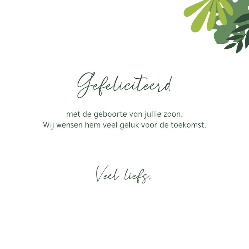 Felicitatiekaart Geboorte Olifant Jongen Kaartje2go