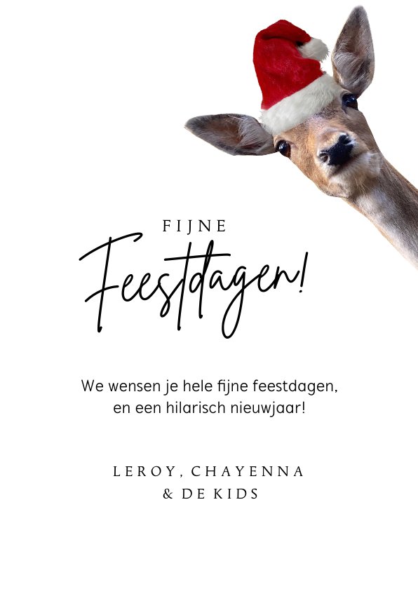 Grappige Kerstkaart Met Foto Van 2 Herten Met Kaartje2go