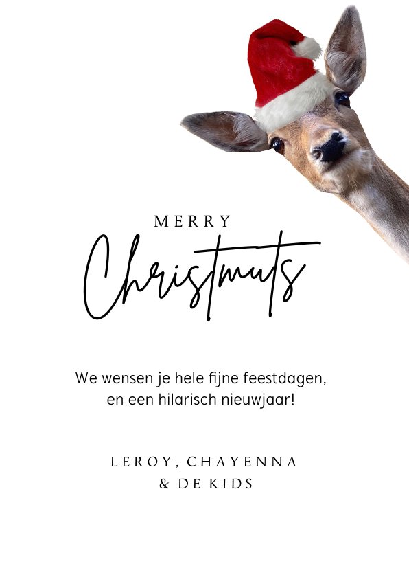 Grappige Kerstkaart Met Foto S Van Hertjes Met Kaartje Go