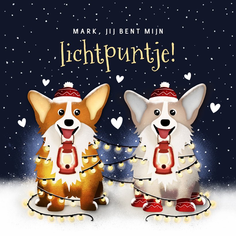 Grappige Valentijnskaart Met Corgi S Een Kaartje Go