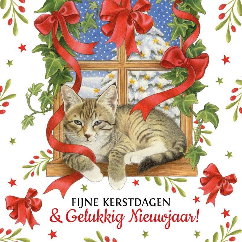 Kerstkaart Kat In Vensterbank Kerstkaarten Kaartje2go