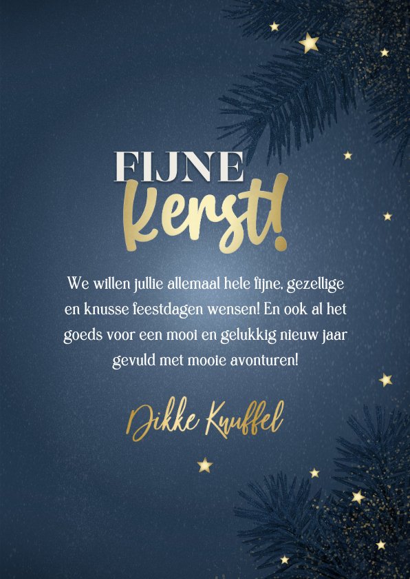 Moderne Kerstkaart Kerstbal Takken Kaartje Go