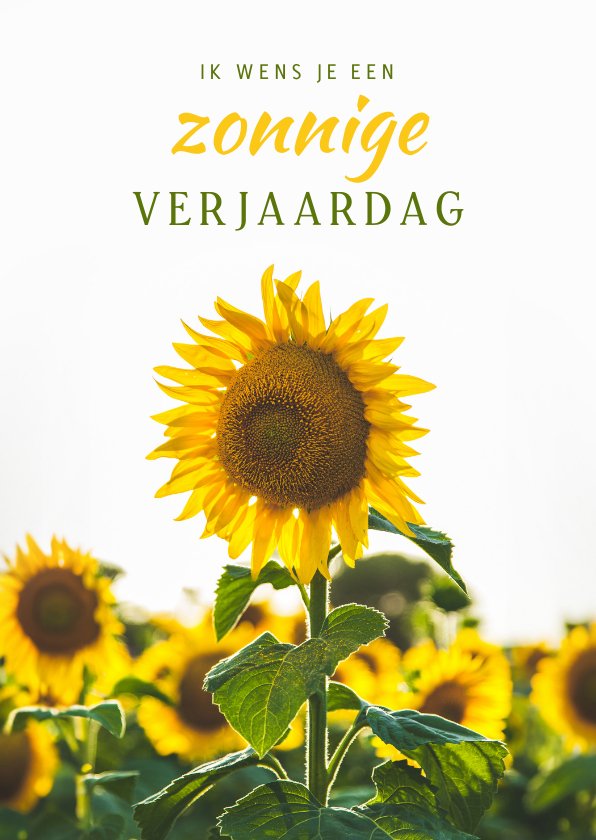 Zonnige Verjaardagskaart Met Zonnebloemen Kaartje Go