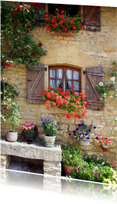Bloemen Frankrijk huis