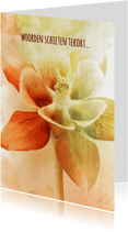 Condoleancekaart orchidee herfst pastel