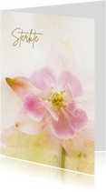 Condoleancekaart orchidee zacht pastel