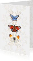 Dierenkaart vlinders botanisch