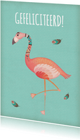 Felicitatie flamingo - BK