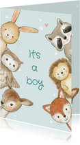 Felicitatiekaart geboorte jongen bosdieren met confetti 