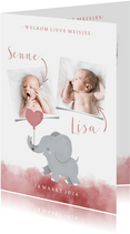 Geboortekaartje voor een tweeling met olifantje met ballon