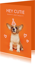 Geburtstagskarte Hund mit Partyhut