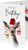 Glückwunschkarte Geburtstag Reh mit Weihnachtsmütze