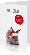 Kerstdiner konijntje met kerstmuts