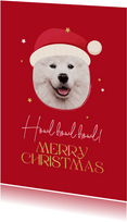 Kerstkaart howl merry christmas hond kerstmuts sterren