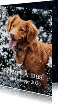 Kerstkaart met foto van hond en sneeuwvlokjes