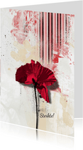 Sterkte kaart klaproos poppy bloem