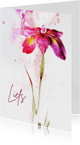Sterktekaart iris bloem paint