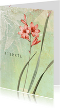 Sterktekaart pastel zalm bloem
