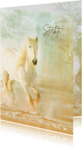 Sterktekaart wit paard mist