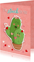 Valentijn stuck on you cactus