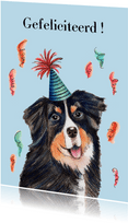 Verjaardagskaart Berner sennenhond met feest hoedje