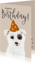 verjaardagskaart met lief hondje met feestmuts