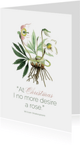Weihnachtskarte Christrose botanisch