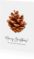 Weihnachtskarte Kiefernzäpfchen