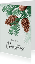 Weihnachtskarte Tannenbaum mit Tannenzäpfchen