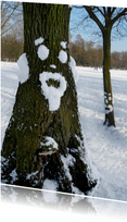 Wenskaart Sneeuwpret boom