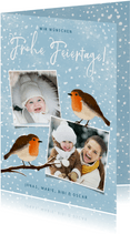 Winterliche Foto-Weihnachtskarte Rotkhelchen
