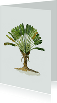 Woonkaart palmboom