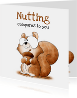 Bedankkaart eekhoorn - Nutting Compares to You!