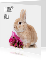 Bedankt - Thank you konijn