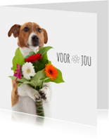 Bloemenkaart - Boris de hond - Voor jou