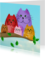 Dierenkaart kleurrijke katten