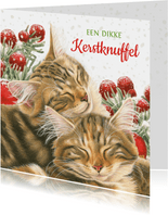 Dikke kerstknuffel kaart met 2 lieve kittens