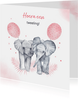 Felicitatie geboorte tweeling meisjes olifantjes