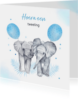 Felicitatie tweeling jongetjes olifantjes ballon