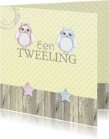 Felicitatie tweeling uil