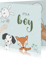 Felicitatiekaart geboorte vos konijn hond