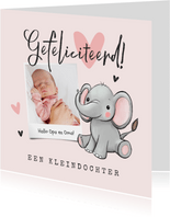 Felicitatiekaart kleindochter olifantje hartjes foto