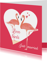 Felicitatiekaart Love birds flamingo's